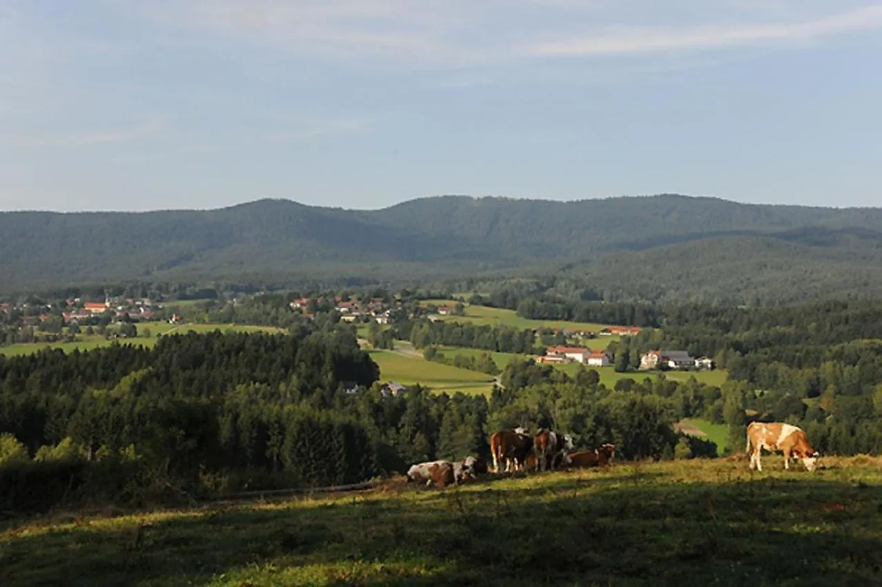 Exenbacher Hof - Pension Arnbruck 0*,  Deutschland